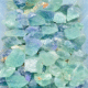 Flourite